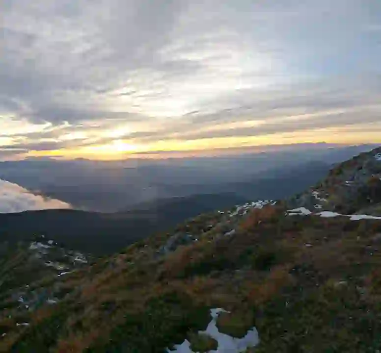 Section image